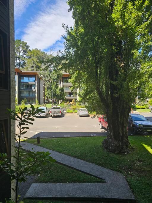 Apartamento Depto Parque Pinares Playa Privada Pucón